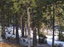 Deer Park